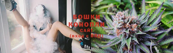 молекула духа Верея